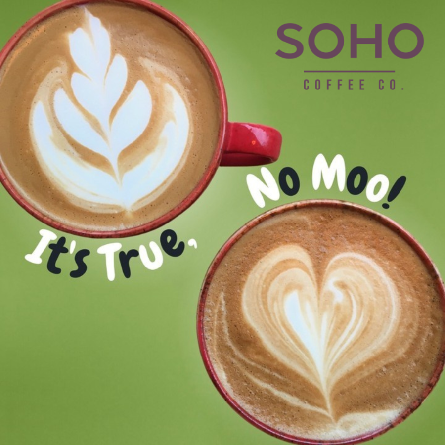 TheBreweryChelt's tweet photo. Did you know that you can enjoy any of SOHO Coffee Co.'s dairy alternative milks FREE OF CHARGE - It's True, No Moo 🌱

Fairtrade, Organic, Rainforest Alliance™️ &amp; Deliciously #Vegan 💚
#Cheltenham #SohoCoffeeCo https://t.co/rWZTYQqKTU