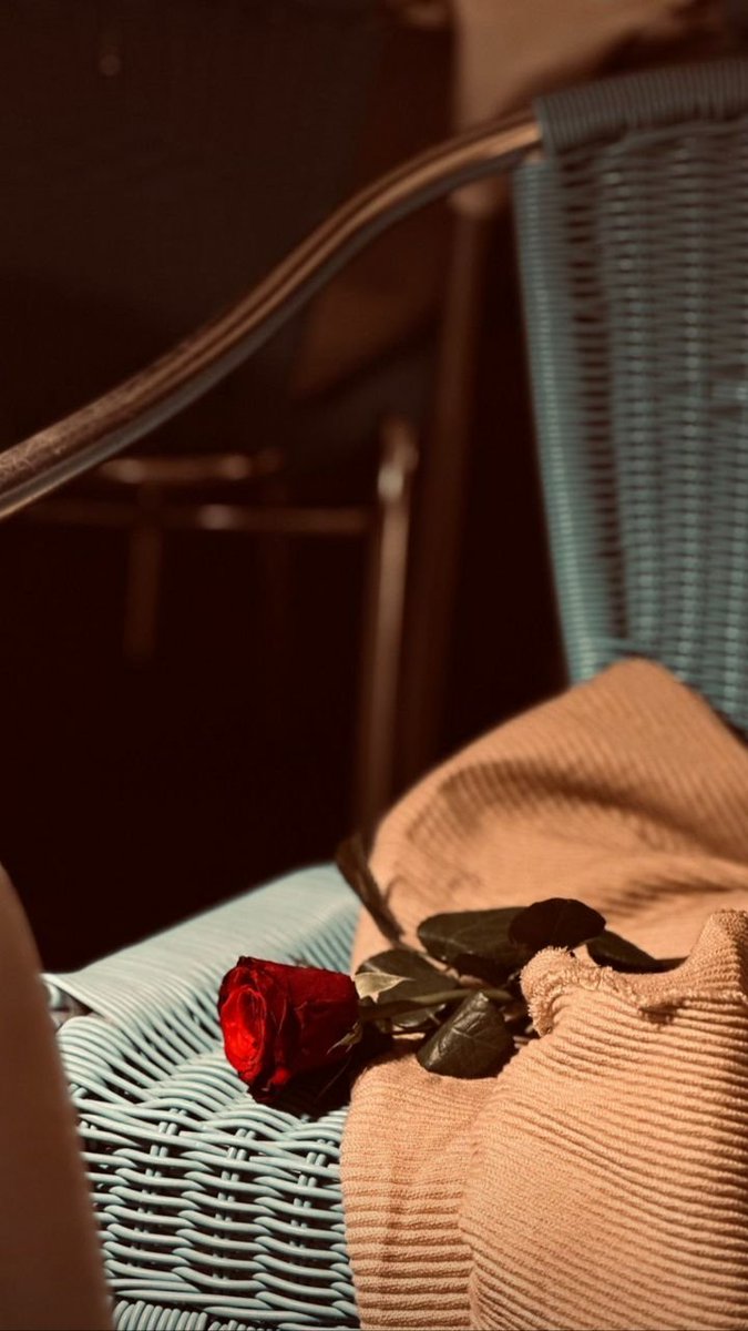 Gege171_Mo's tweet photo. قلبك الجميل إللى فاكره جايبك ورى ، هو إللى خلاك تتخطى كل شئ صعب بسهولة .. خلاك تنسى قبح إللى فات بمجرد ما لمحت شئ جميل ق��امك !
هو إللى برغم إنه إتعرض لمواقف وحشة ، خلاك ماتقفش عندها .. حطك مكان إللى قدامك و عذرته ، فا كملت حياتك من غير ما تشيل جرح دايم يسببلك تشوه ! https://t.co/CjUpDjo20K