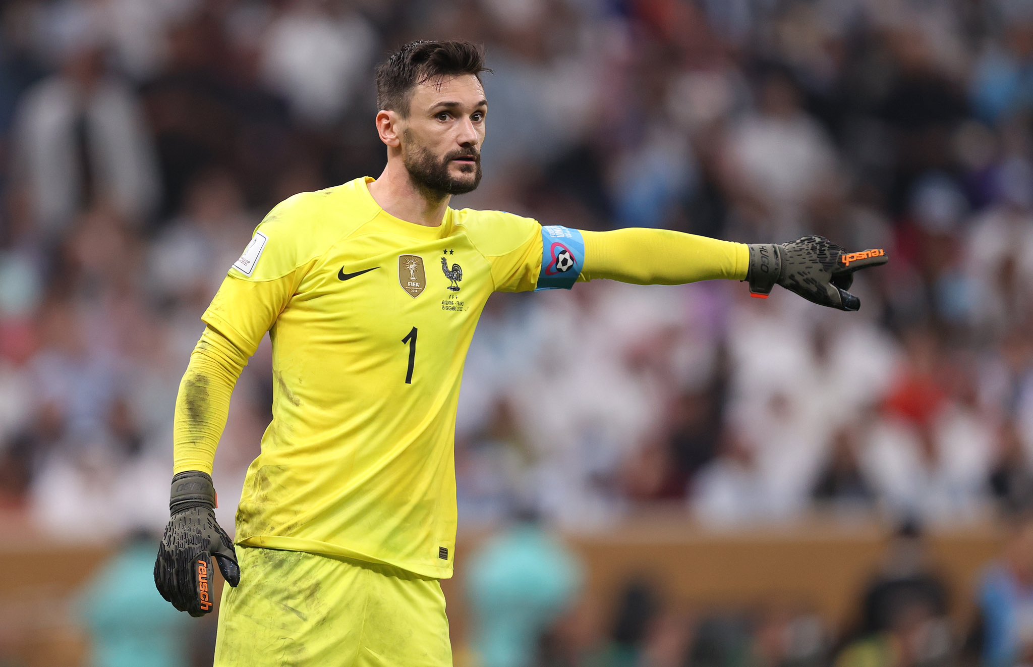 Lloris 2015