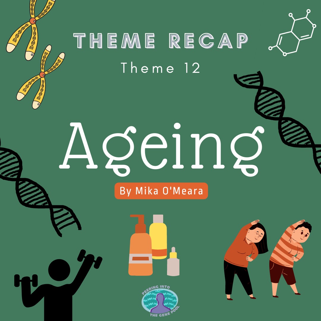 inthegenepool's tweet photo. Swipe to read the recap of our last theme for this year - AGEING 🧫🧪🧬🩺💊 we wish everyone a wonderful 2023, and hope you've all had time to rest and recuperate for this new year 🙏😇
#antiageing #genetics #ethics #scienceblog #education #scicom #ageing  #peeringintothegenepool https://t.co/AitOboSdWH