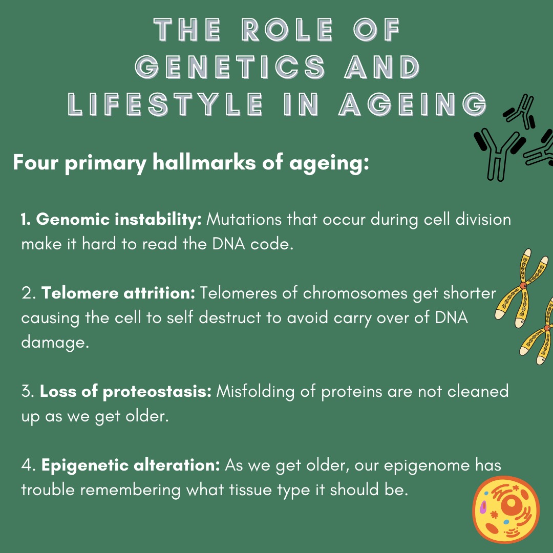 inthegenepool's tweet photo. Swipe to read the recap of our last theme for this year - AGEING 🧫🧪🧬🩺💊 we wish everyone a wonderful 2023, and hope you've all had time to rest and recuperate for this new year 🙏😇
#antiageing #genetics #ethics #scienceblog #education #scicom #ageing  #peeringintothegenepool https://t.co/AitOboSdWH
