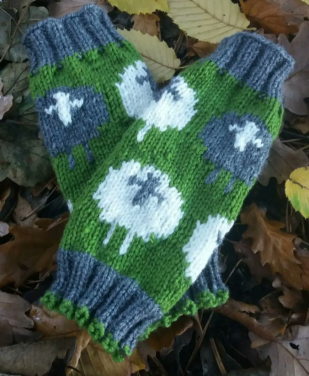 The Yorkshire Grey Sheep tweet media