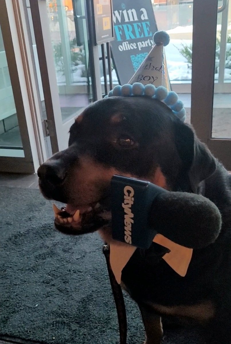 Team Servicerottie🇨🇦🐕‍🦺🦽 tweet media