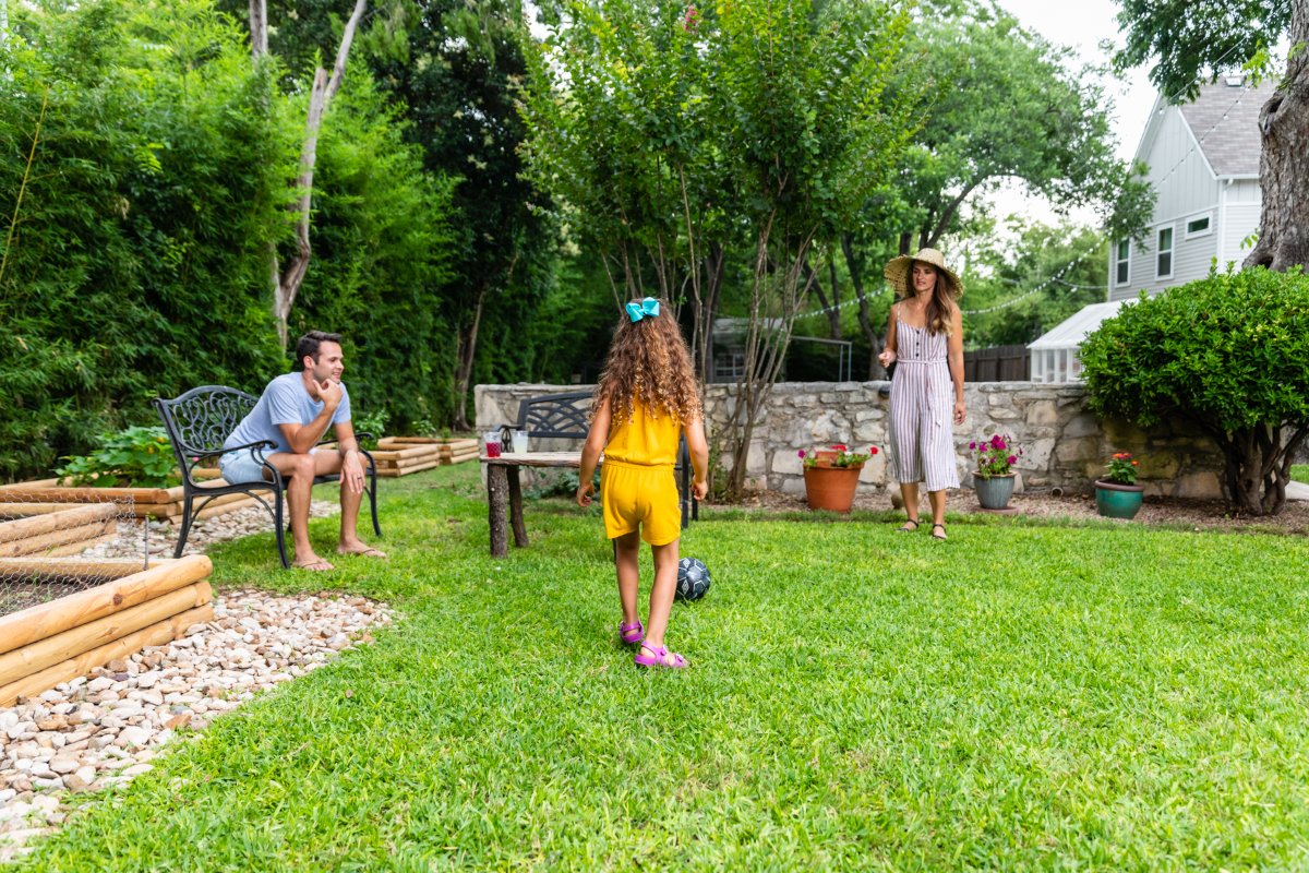 Is your yard due for an update this year? For nothing but the best work and designs, don't hesitate to reach us at (956) 478-6673. #TAndTPalmsTreesAndMore