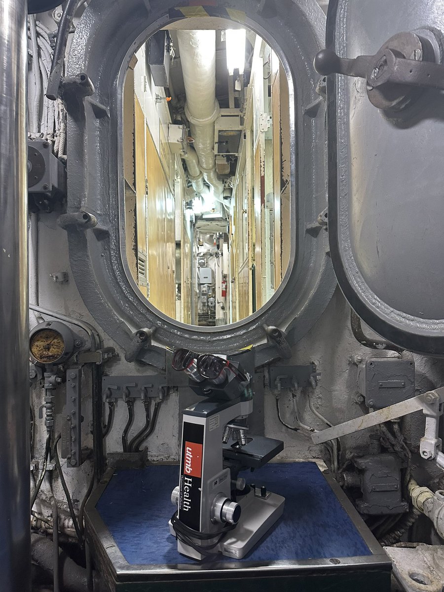 UTMB_Pathology's tweet photo. Hi! It’s #MollyTheMicroscope again! Today I’m visiting @galvnavalmuseum in #SeaWolfPark in #Galveston. The museum features two decommissioned naval vessels that you can explore on your own. Admission is free for first responders! #PathTwitter #PathMatch2023 https://t.co/yuaKnYWJ40