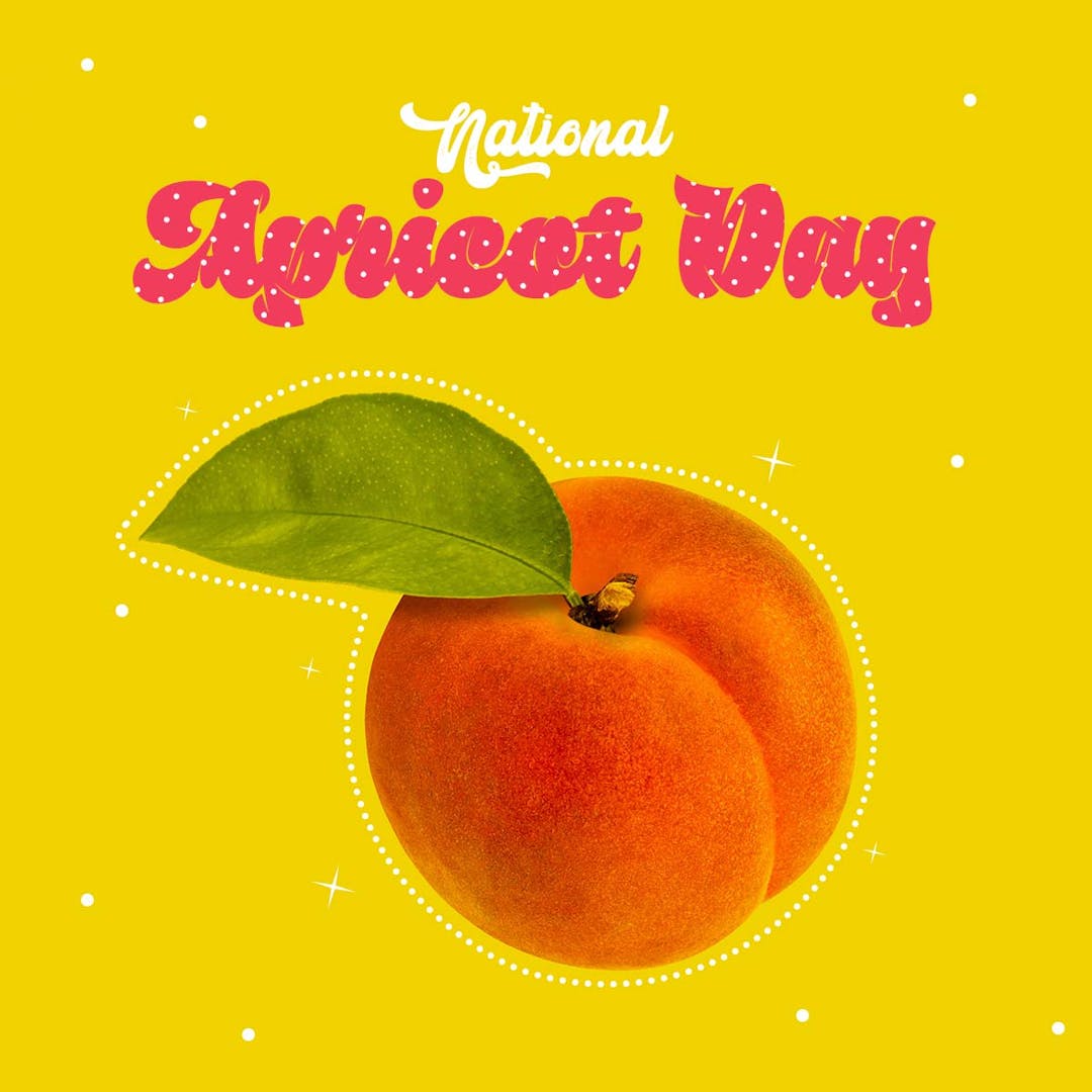 pointandwink's tweet photo. https://t.co/OVq5qucAbJ If this is your thing have at it! #apricots https://t.co/IiOLdVWdCF