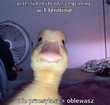 xsrslyxsmg's tweet image. moja jedyna nadzieja #studia2023