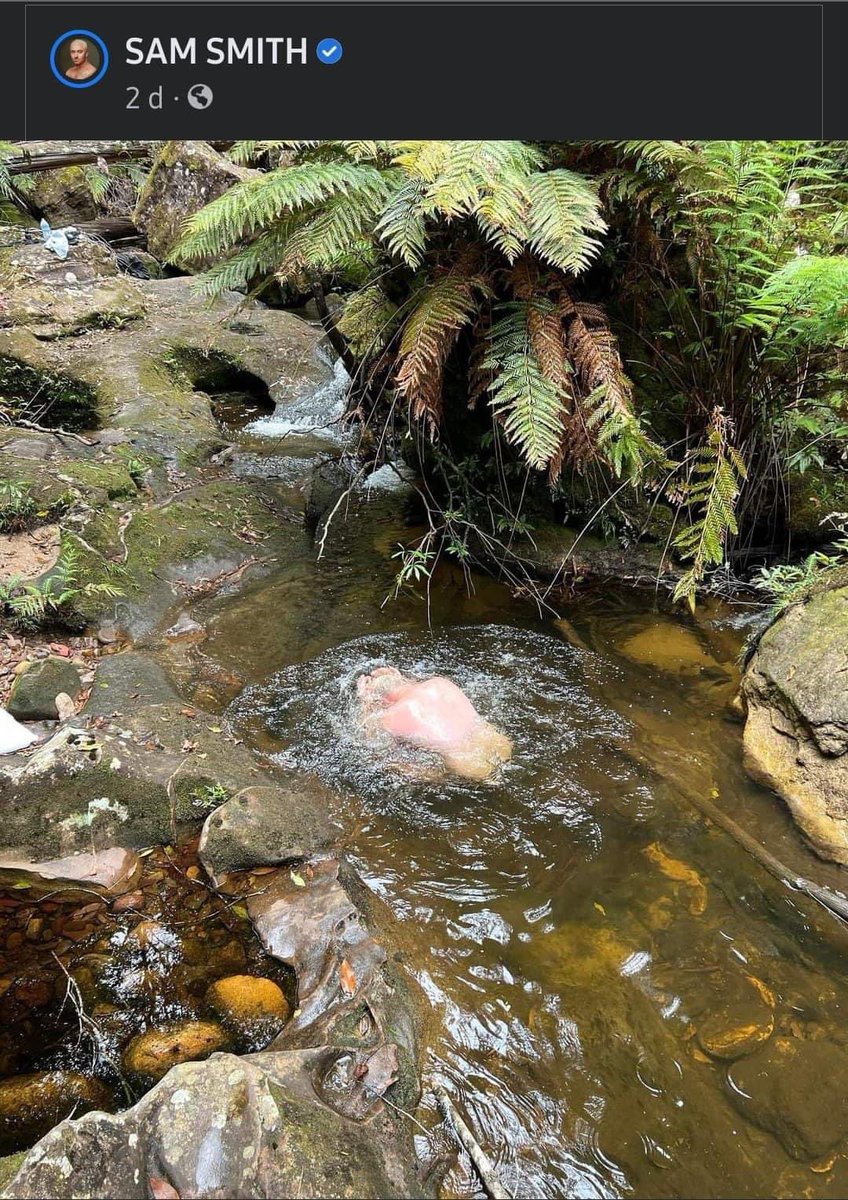 LordQuintanar's tweet photo. Sam Smith, publicó una foto en un río, parece una pechuga de pollo en aceite caliente https://t.co/lFs3dlgg7a