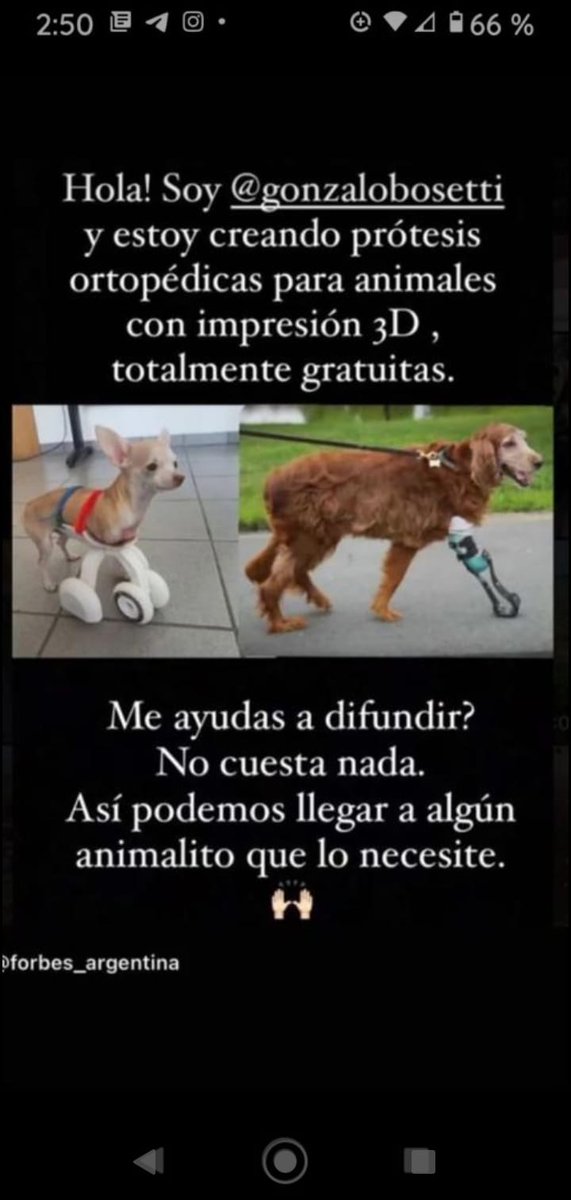 patripeyrou's tweet photo. Difundimos https://t.co/qEWc5ro4dA