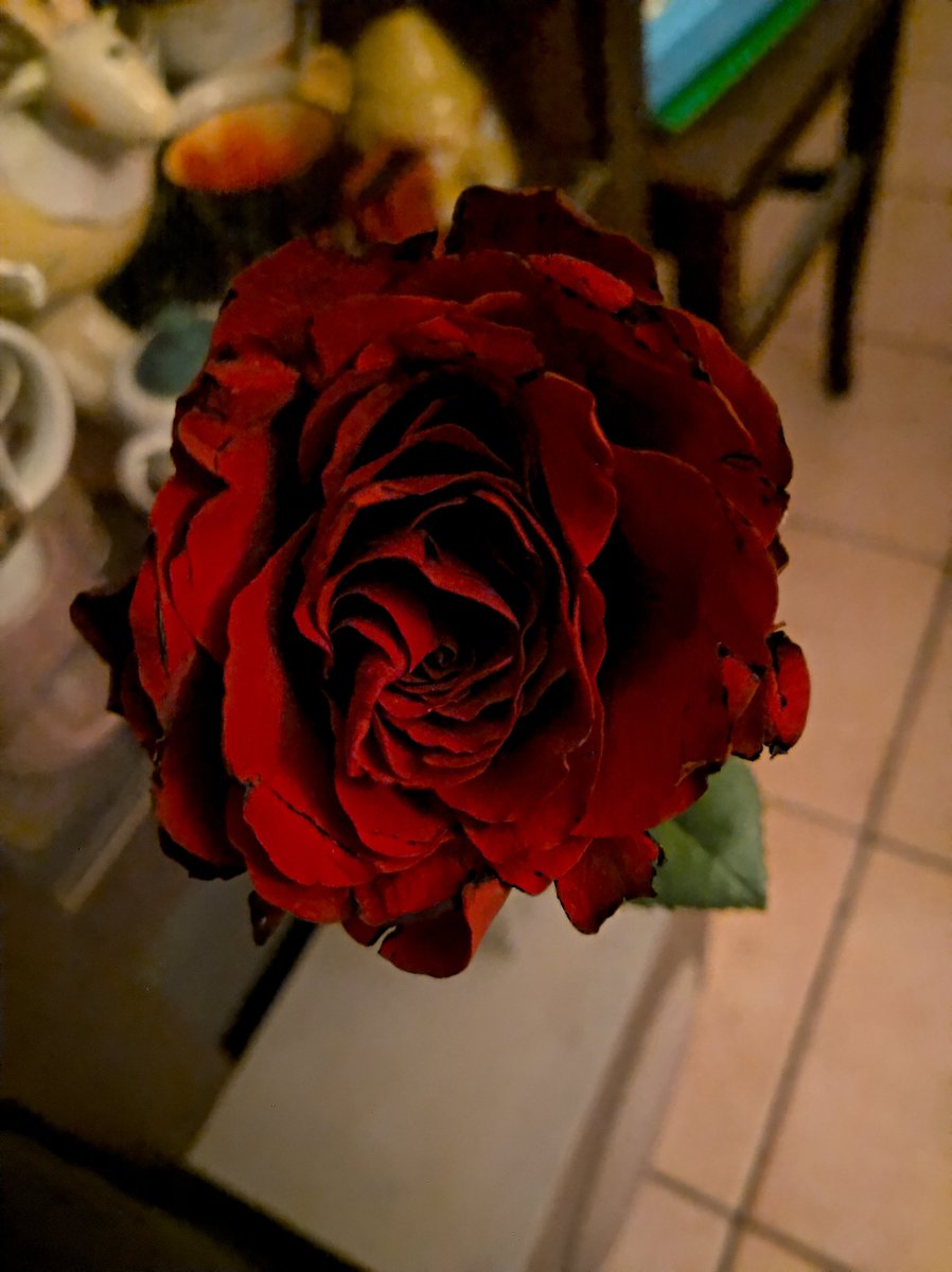 AuriCheffa79's tweet photo. ...e ti #prometto imperfezione,come le cose di una volta,che l'artigiano curava fin nei minimi dettagli eppure avevano sempre un graffio o una piccola crepa. Perché erano fatte col cuore...
#pensieri #pensieriindelebili #pensierisparsi https://t.co/Zi7ZBZwdh2