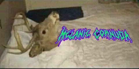 MelanieCornuda's tweet photo. YO intentando dormir cuando mando a @mykemunster con alguna amiga suya o nuestra vecina y aún no me manda videíto🥺:

 (Si!esto es real,ya se está comiendo a nuestra vecina😈quieren verlo?)
1000Rt y subo lo que grabé con la Vecina
Si no,mejor no subo Nada🤷🏻‍♀️por Feos😒😂 https://t.co/BFKhAzAmnc