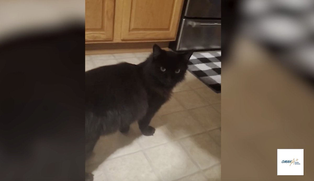 Omaha Public Schools tweet media