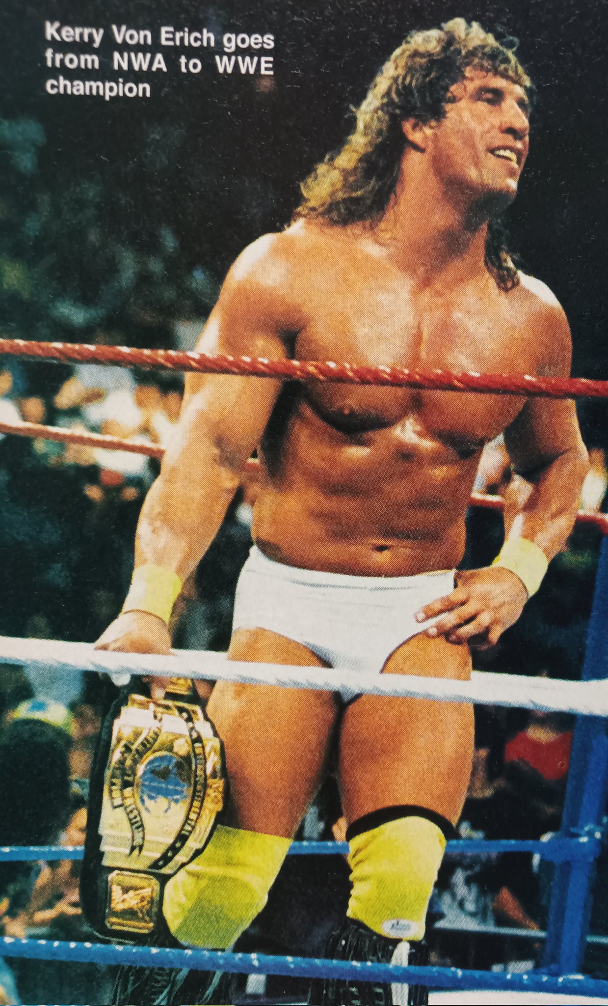Rasslin History 101 on X The Texas Tornado Kerry Von Erich adds the WWF Intercontinental Championship to his resume of Titles and accomplishments at SummerSlam 90 https t yNg0FpRK10 X