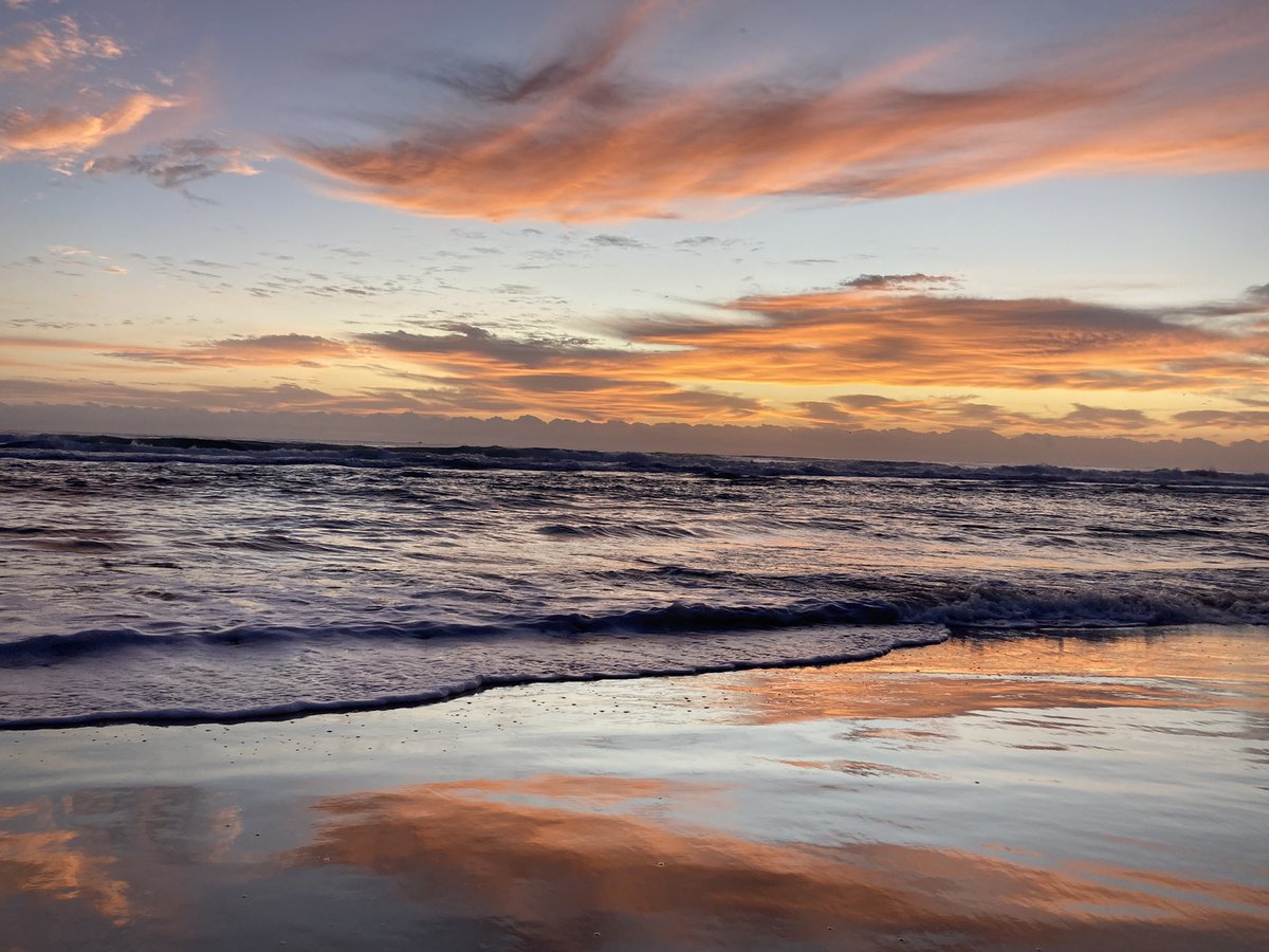 Corrine Barraclough tweet media