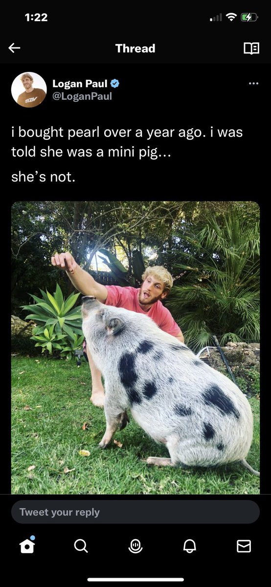 KEEMSTAR's tweet photo. LoganPaul’s pig Pearl was found sick &amp; left to die in a field next to another dead pig. The pig was just rescued by @TheGentleBarn … #DramaAlert https://t.co/ZehXmvUVCy