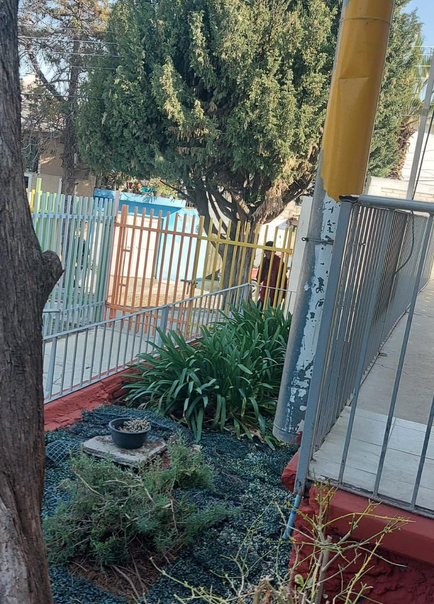 HaddyLopez's tweet photo. @RobertSosaP Hoy en horario escolar un drogadicto exhibió sus genitales en la puerta del kínder!! Tenemos desde el año pasado pidiendo que nos apoyen por la inseguridad👇🏻 La policía dice que no puede hacer nada y qué hay que esperar. O sea esperar a que pase algo peor??? https://t.co/W7cL8enoOR