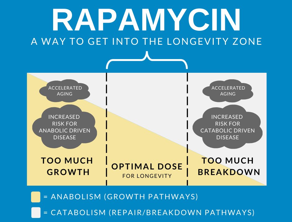 Krister Kauppi - Rapamycin Longevity Lab tweet media