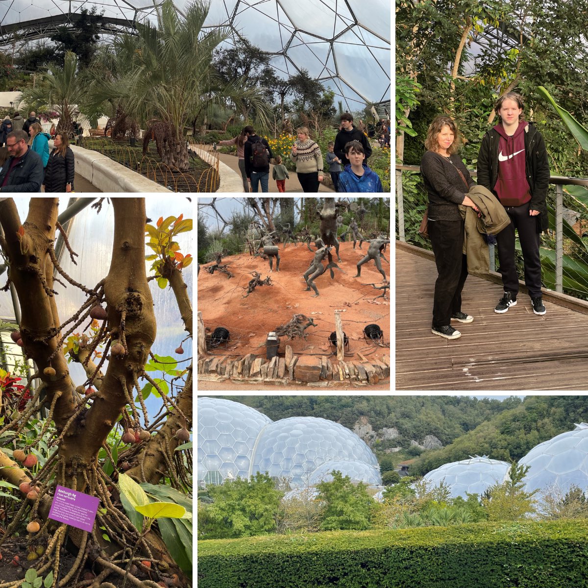 Lovely family day out at the Eden Project. #edenproject #cornwall