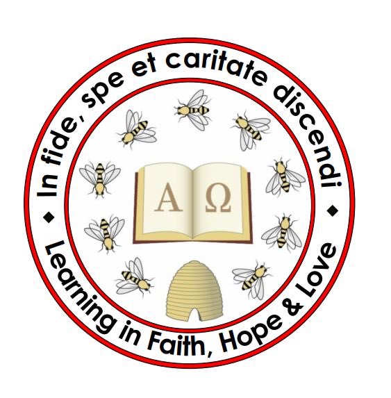 ambeesenglish's tweet image. We are so delighted to be back 🐝⭐️ seeing everyone’s beautiful faces again and we are equally thrilled to share our school’s brand new Vision, Values, &amp;amp; Aims @stambrosehigh #learninginfaithhopelove #learninginFAITH