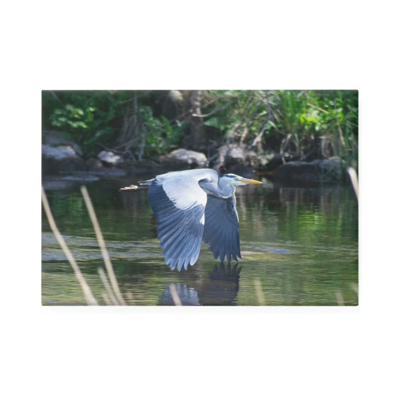 blproyalprints.myshopify.com/products/heron… #BLPRoyalprints