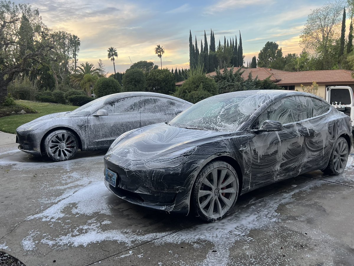 WDateiling's tweet image. Dateiling