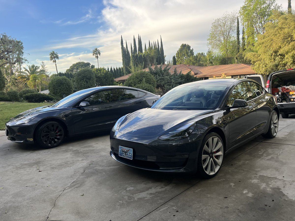 WDateiling's tweet image. Dateiling