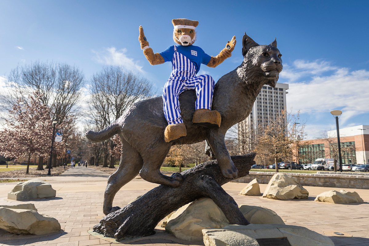 Welcome back to campus Wildcats!😺