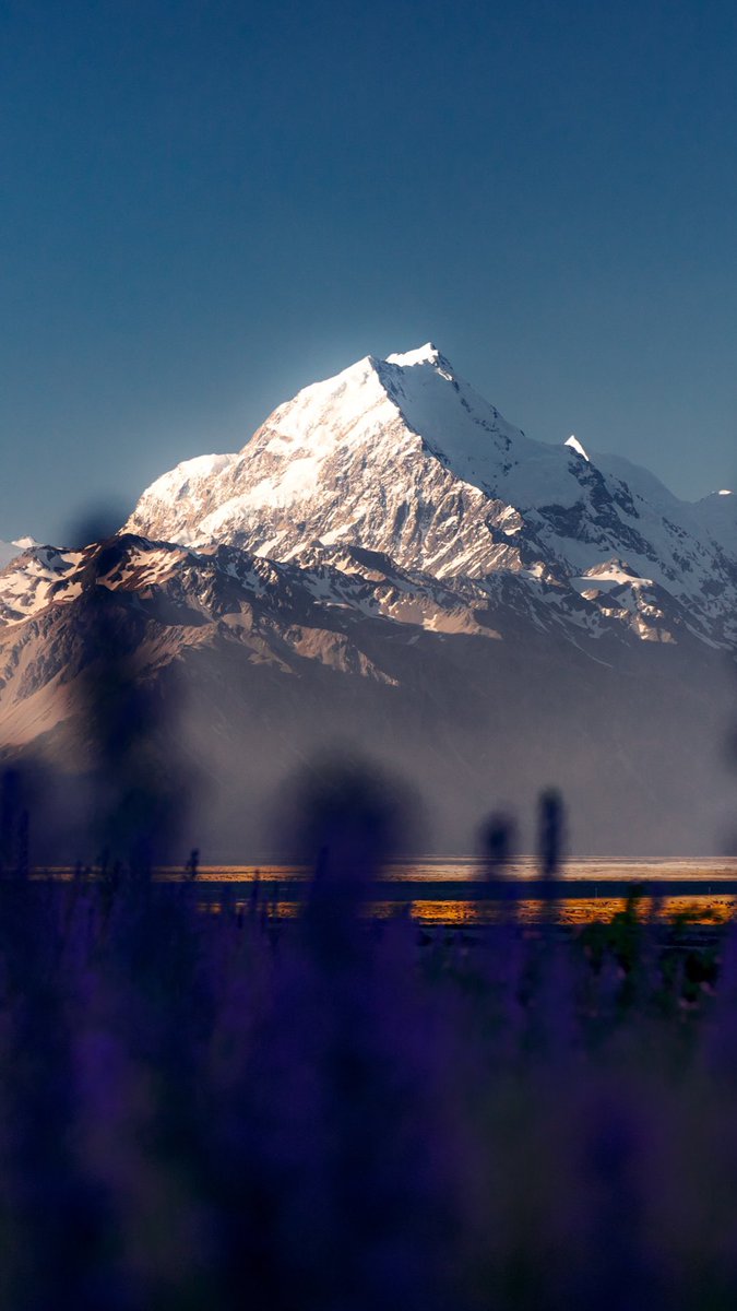 Krisztian Nagy tweet media