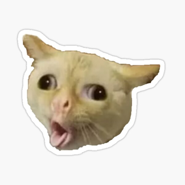 me coughing every 2 mins atm