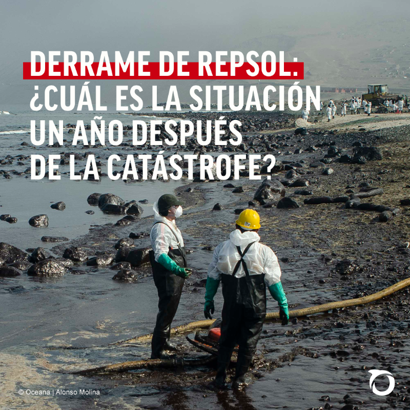 Oceana_Peru's tweet photo. ⚠️A UN AÑO DEL DERRAME DE PETRÓLEO DE #REPSOL EN EL #MARPERUANO, LA CRISIS YA NO SOLO ES AMBIENTAL SINO TAMBIÉN HUMANITARIA. Con el inicio del verano, miles de personas que vivían del mar se preguntan cómo evolucionará la situación en el corto plazo, pero no obtienen respuestas.