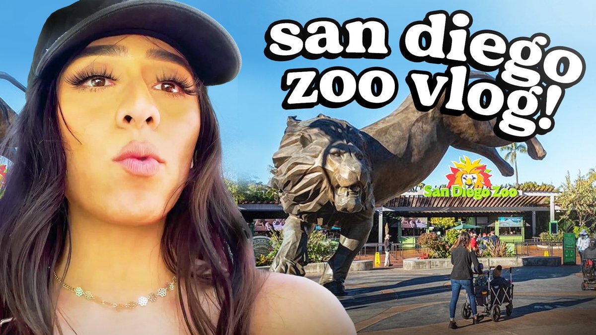 Violet Myers on Twitter: "Going to the Zoo but making it Entertaining