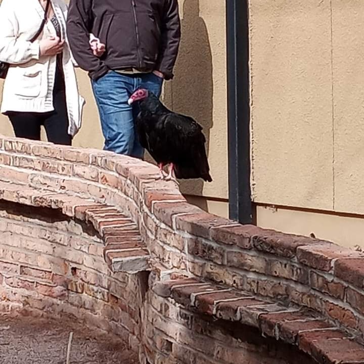 DrakeFowler18's tweet image. 