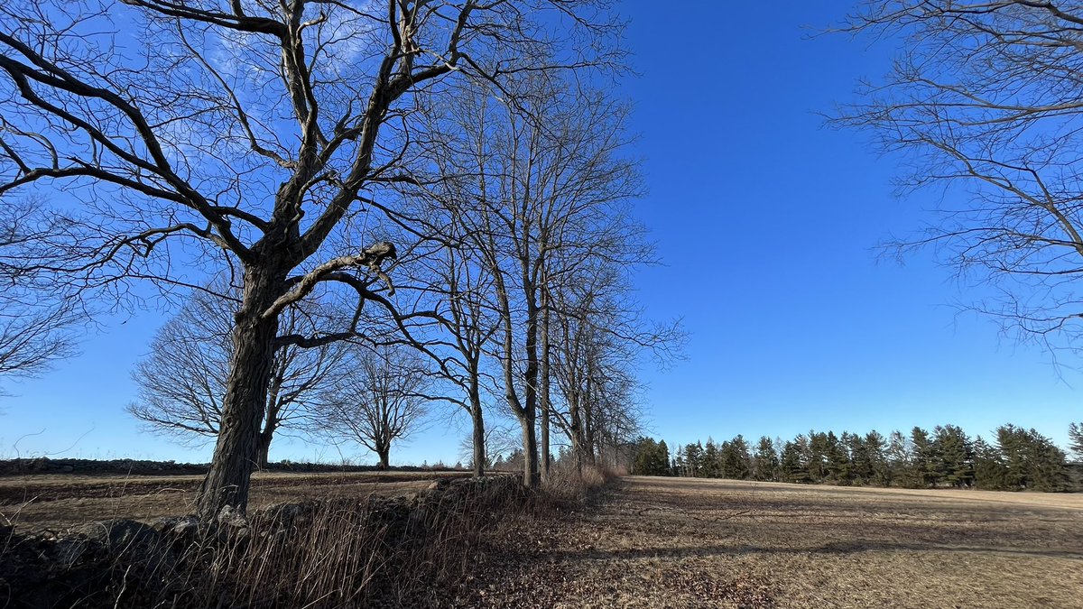 metamythian's tweet photo. My Sunday hike up a hill through Topsmead Forest to the summit view of the Litchfield Hills and a serene pastoral setting of many very large meadows delineated by stone walls.
#Explore #NewEngland #NWCT #CT #Nature #Forest #Woodlands  #Ponds #landscape #Hiking #HikingAdventures https://t.co/q0bxfYomoX