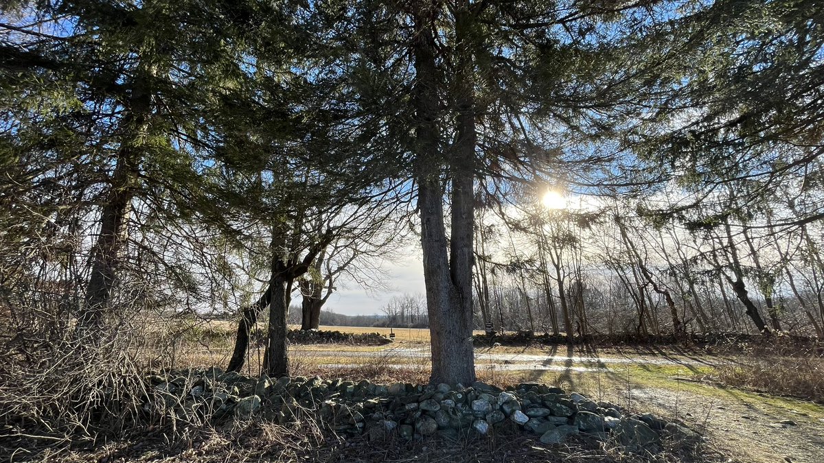 metamythian's tweet photo. My Sunday hike up a hill through Topsmead Forest to the summit view of the Litchfield Hills and a serene pastoral setting of many very large meadows delineated by stone walls.
#Explore #NewEngland #NWCT #CT #Nature #Forest #Woodlands  #Ponds #landscape #Hiking #HikingAdventures https://t.co/q0bxfYomoX