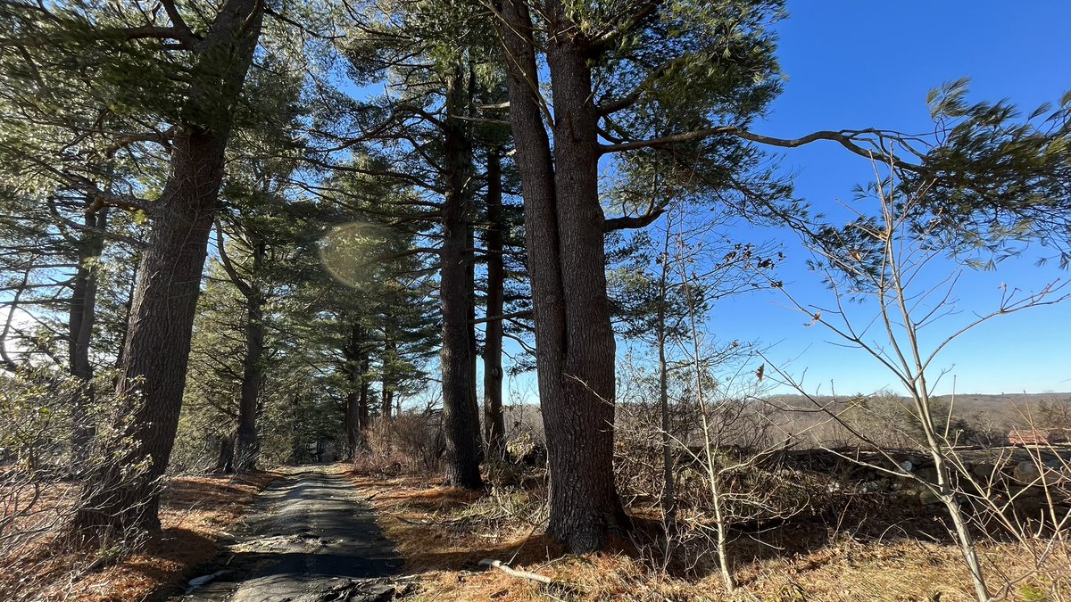 metamythian's tweet photo. My Sunday hike up a hill through Topsmead Forest to the summit view of the Litchfield Hills and a serene pastoral setting of many very large meadows delineated by stone walls.
#Explore #NewEngland #NWCT #CT #Nature #Forest #Woodlands  #Ponds #landscape #Hiking #HikingAdventures https://t.co/q0bxfYomoX