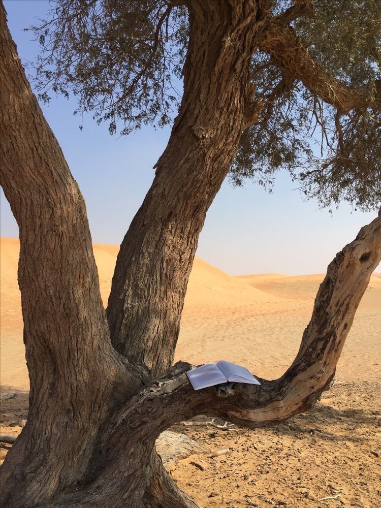 قال الاحنف ابن قيس رضي الله عنه :
لا خير في قول بلا فعل، ولا في منظر بلا مخبر، ولا في مال بلا جود، ولا في صديق بلا وفاء، ولا في فقه بلا ورع، ولا في صدقة إلا بنية، ولا في حياة إلا بصحة وأمن