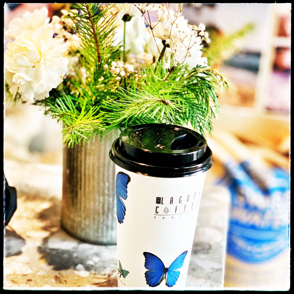 #HappyMonday 
Enjoying my morning Americano @ #LagunaCoffeeCo ☕️ #LagunaBeach, CA (<a href="/lagunacoffeeco/">Laguna Beach</a>) 

Shoutout 2 the friendly staff. Cheers! 

#lagunacoffee #coffee #americano #java #cafe #beach #brew #orangecounty #OC #SoCal #PCH #southerncalifornia 

instagram.com/p/CnNKqV-P0YZ/…