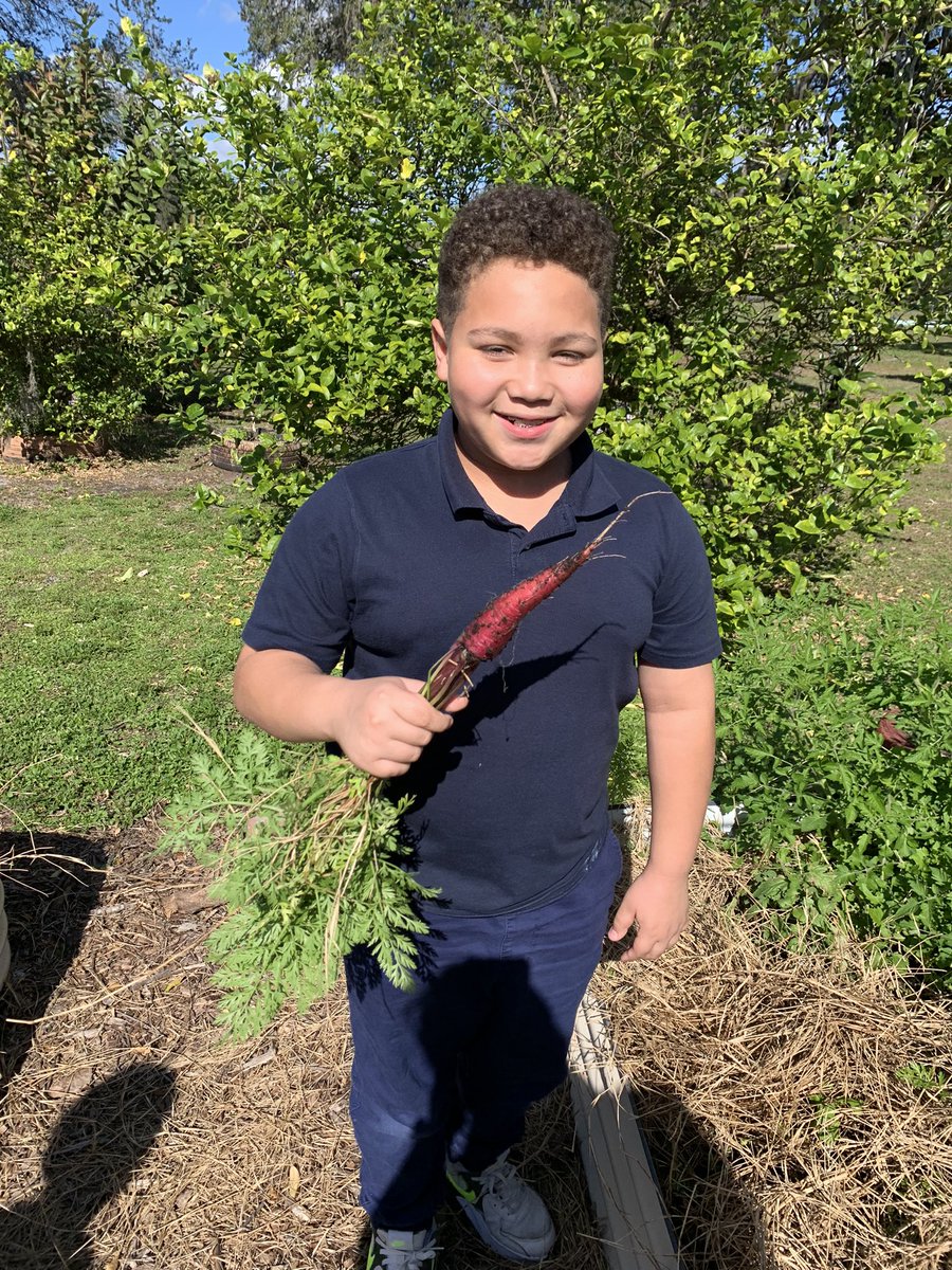 GardenMort's tweet photo. The garden blessed the #GardenGnomies with a bountiful harvest. #Schoolgarden https://t.co/lrlnqKuroU
