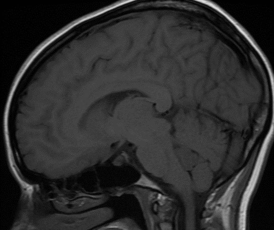 Daniel Gewolb, MD tweet media