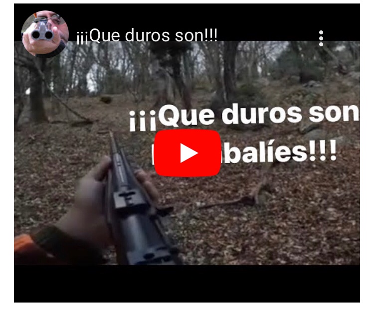¡¡¡Que duros son los jabalíes!!!! apuntomichelcoya.com/blog/que-duros…