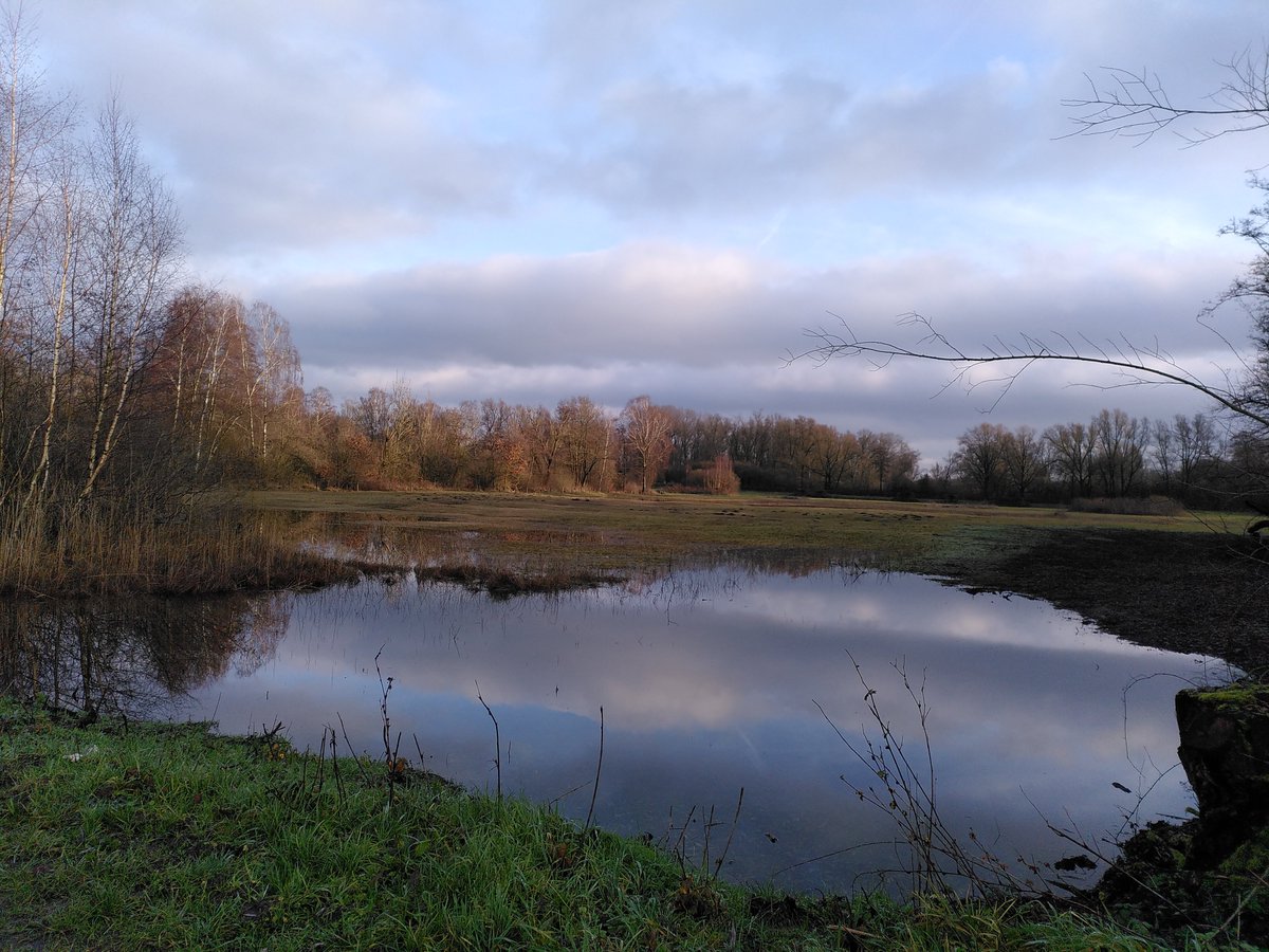 Onze eerste #natuurexcursie van 2023 gaat naar de unieke #Tichelgaten bij Buren. Iedereen kan gratis meedoen aan deze korte wandeling met aandacht voor het ontstaan van het gebied, #bomen en #vogels. Lees meer en doe ook mee: tinyurl.com/c4h7hf4r