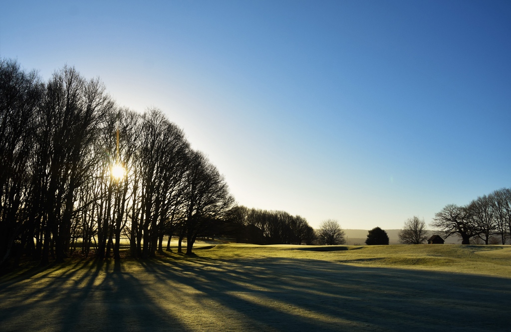 Cowdray Golf tweet media