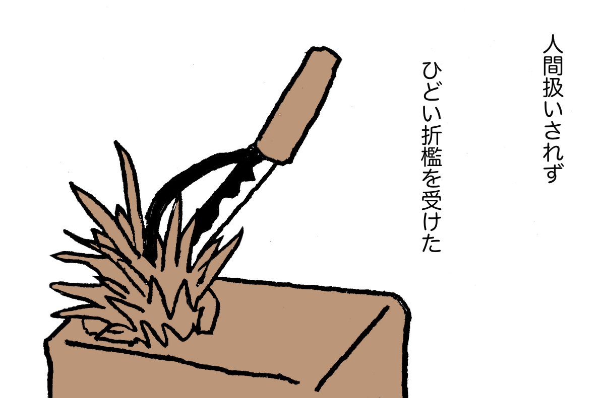 #ムシデン 15 