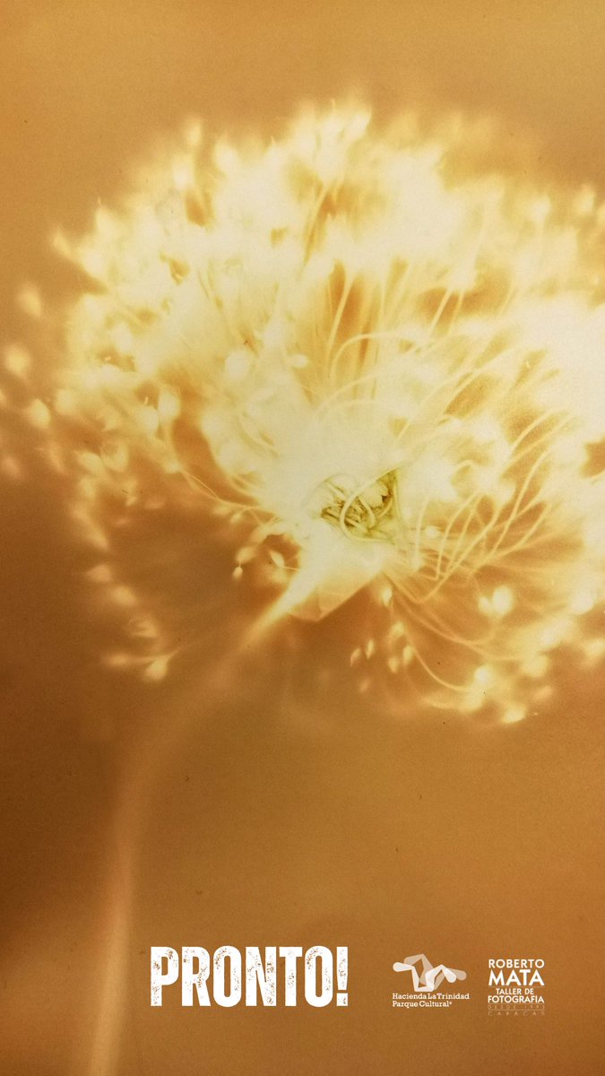 Sabes qué tipo de técnica se utilizó para crear esta imagen fotográfica?