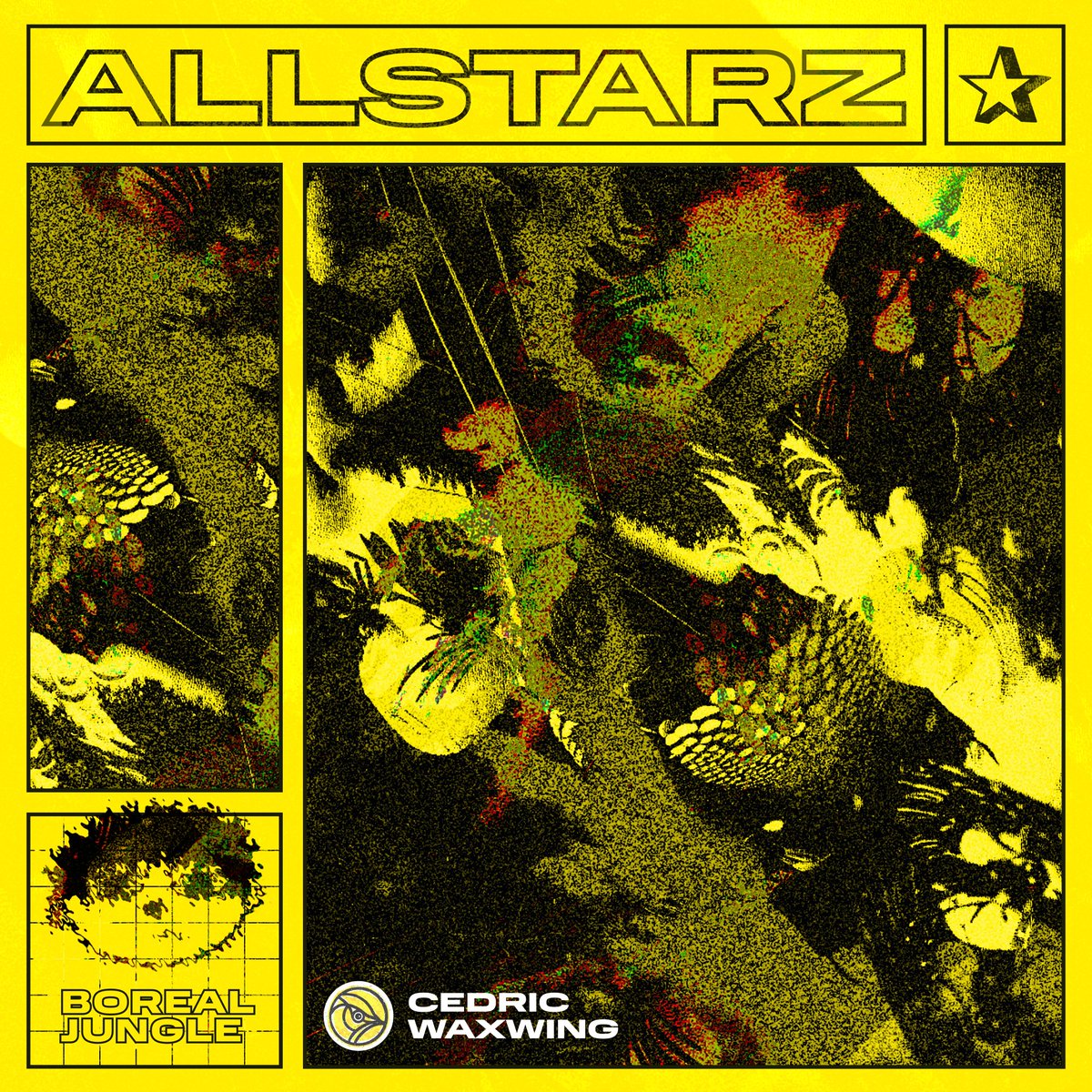 new mixtape from <a href="/cedricwaxwing/">Cedric Waxwing</a> ✰ boreal jungle ✰  

listen at allstarz.world/mixtapes/boreal