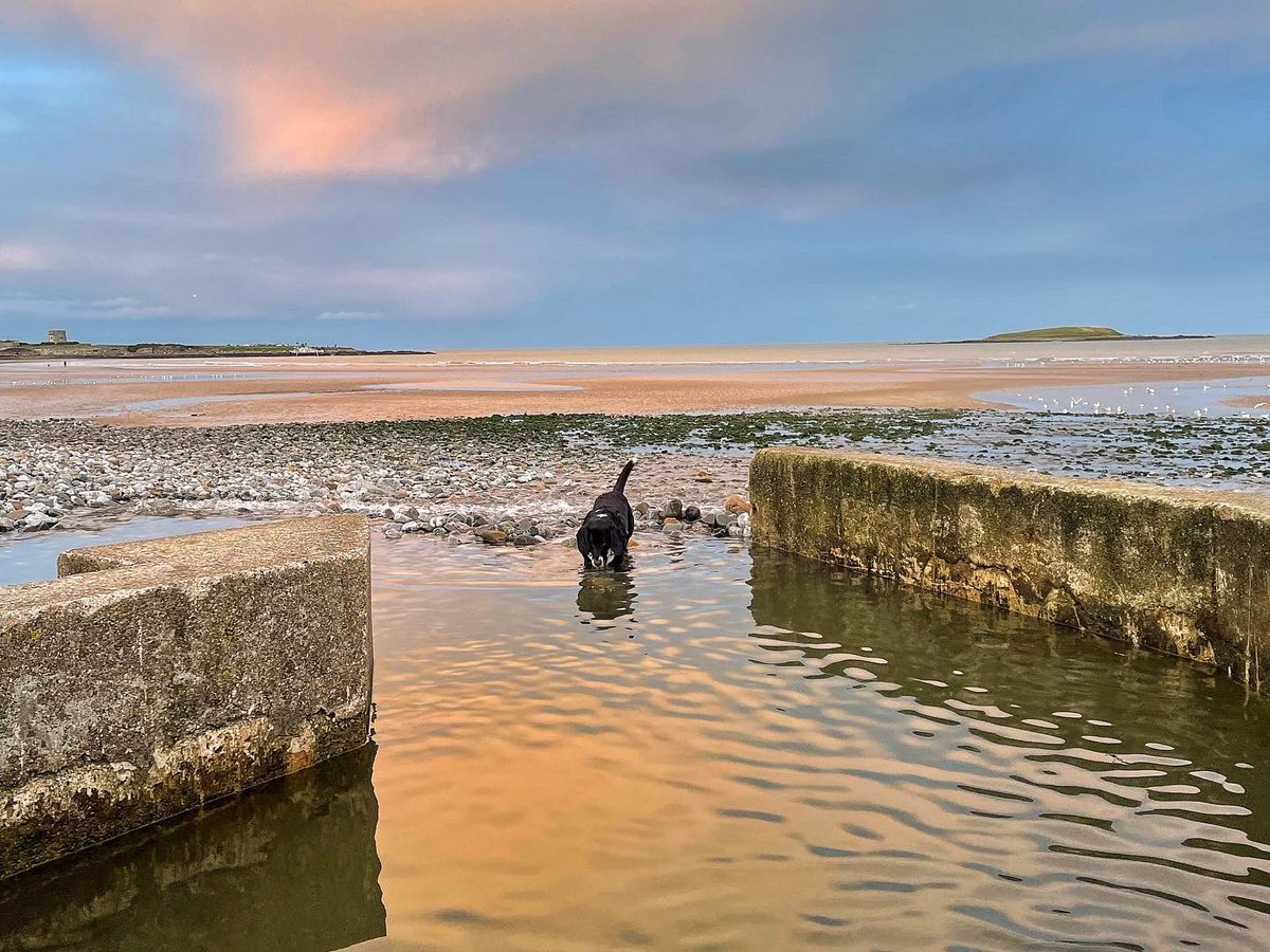 roisinmacken1's tweet photo. Sunday Sunset in #Skerries https://t.co/9kSiTN8Yqm
