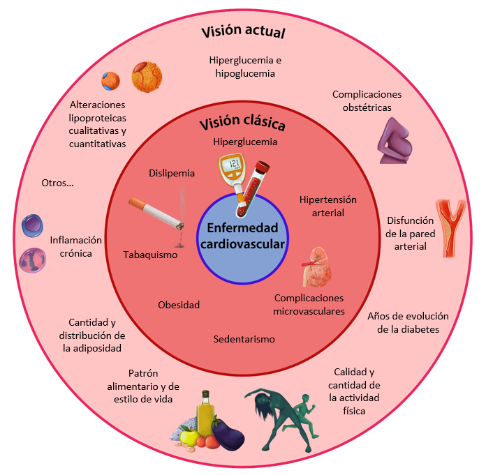 👁️Mi colaboración con la revista Diabetes de la <a href="/SEDiabetes/">SED Diabetes</a>.📚👥Un artículo de cariz más divulgativo sobre el riesgo cardiovascular en personas con diabetes tipo 1 🫀

revistadiabetes.org/complicaciones…
