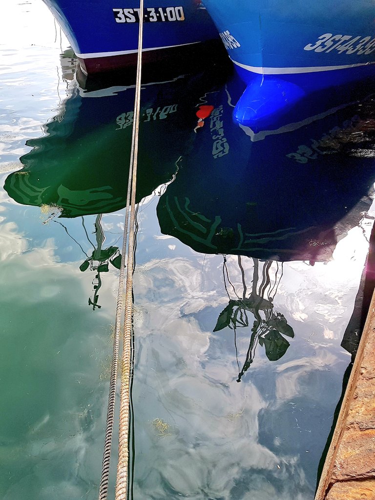 Apez140's tweet photo. #Ratos
De Reflejos de #Proas en las Aguas de una Dársena Pesquera de #LaBahíaDeSantander...🧚‍♀️😎 https://t.co/VBXtmld2HV