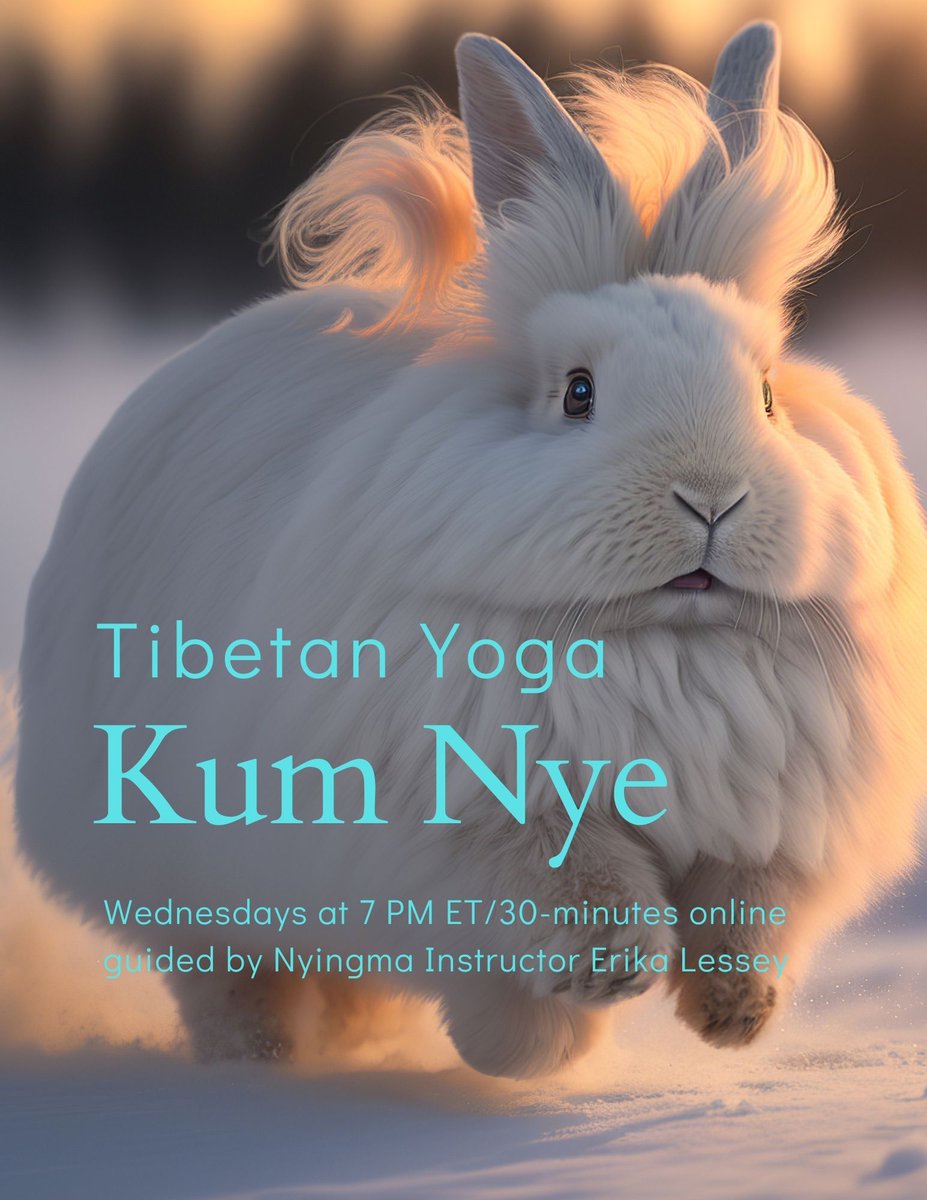 akirechen's tweet photo. Winter Session online starts 1/11/23! 🐇🧘‍♀️🧘🧘‍♂️ https://t.co/jHRZTF6HtM