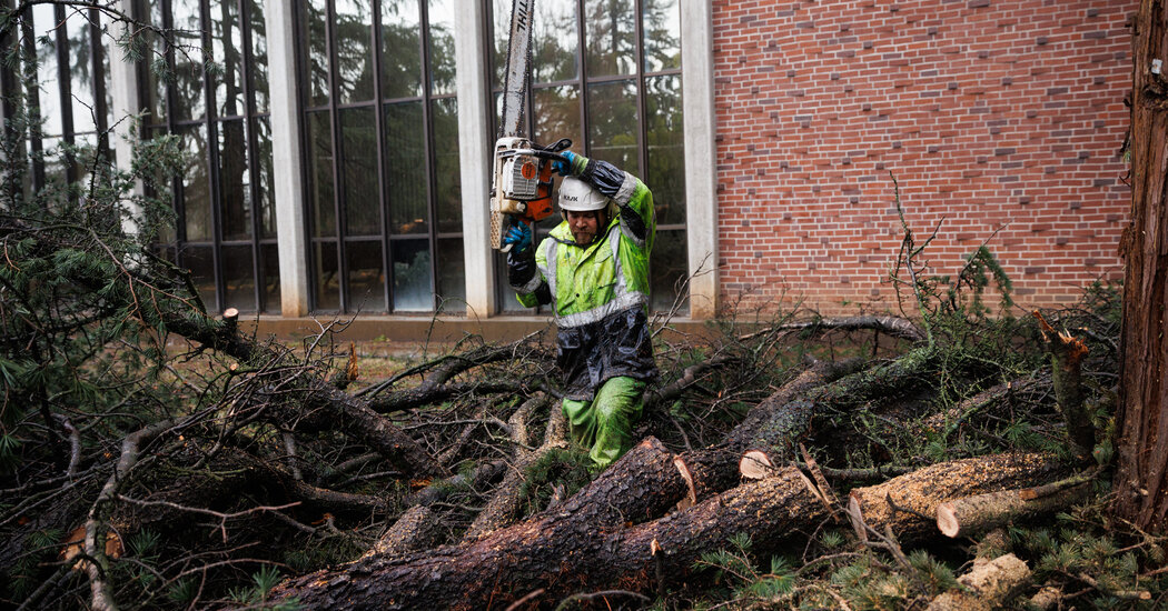WorldClimateCN's tweet photo. Wild Weather Swings Are Robbing California of Its Trees

https://t.co/oBG6t2K9Nf

#News #California #ClimateChange #weather #ClimateCrisis #ecologicalrestoration #climatecrisis https://t.co/Qj5XJQ2Leu